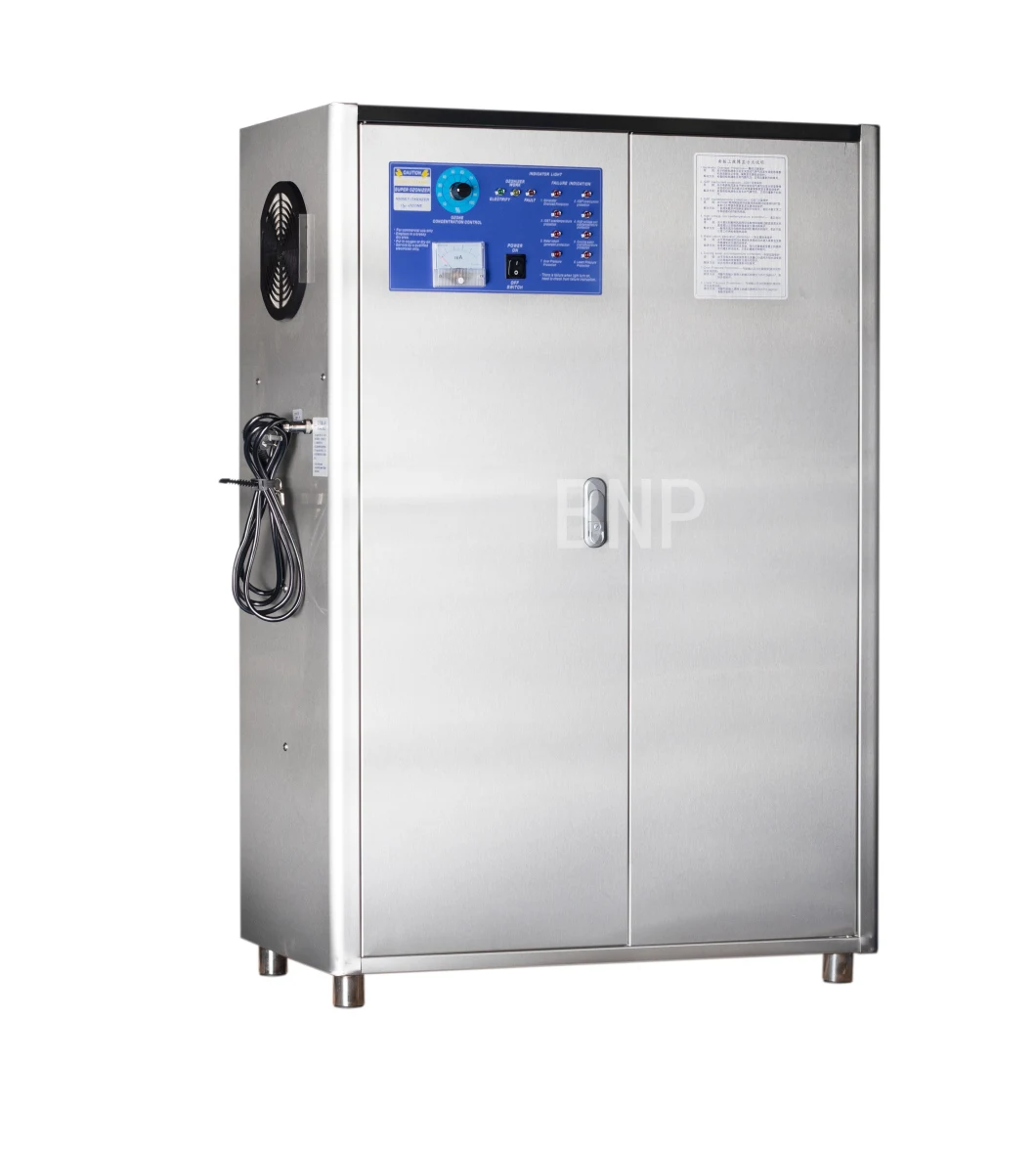 Bnp Manufacturer Yw-200g Industrial Ozone Generator for Air Pool Water Treatment