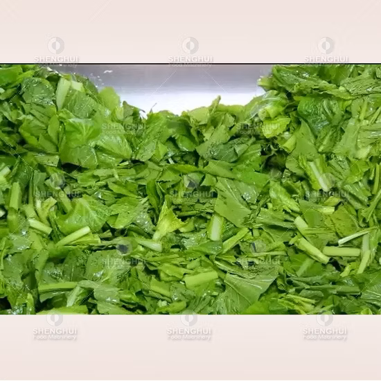 Multifunctional Vortex Fruit Fish Cleaner Meat Washer Air Bubble Fruit Cleaning Machine Ozone Vegetable Washing Machine