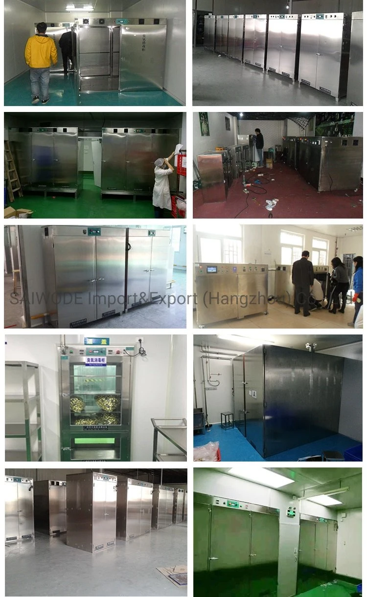 Factory Supply Medical Instrument Ozone Disinfection Cabinet