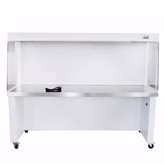 Medical Laboratory Stainless Steel Laminar Air Flow HEPA Filter Clean Bench