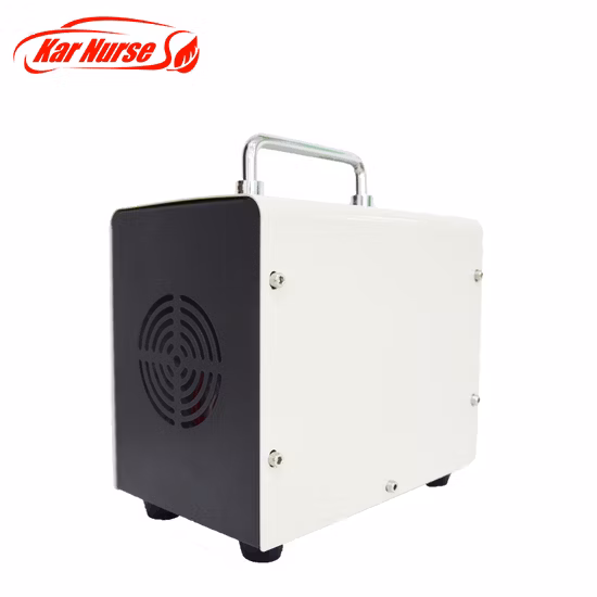 12V 220V Portable Mini USB Car Home 10g Ozone Generator Air Purifier