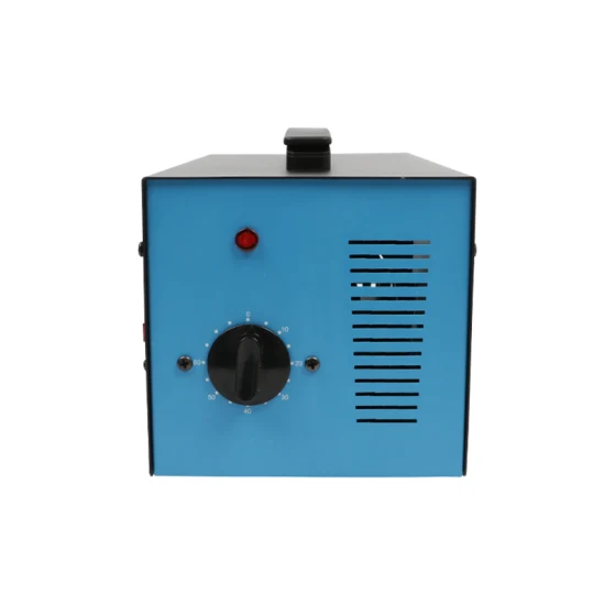 220V 500mg/H Commercial Ozone Generator Air Water Sterilizer Purifier with 10 20 30 40 50 60-Min Timer