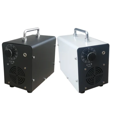 5g Portable 12V 24V Car Ozone Generator Air Purifier for Car Sterilization