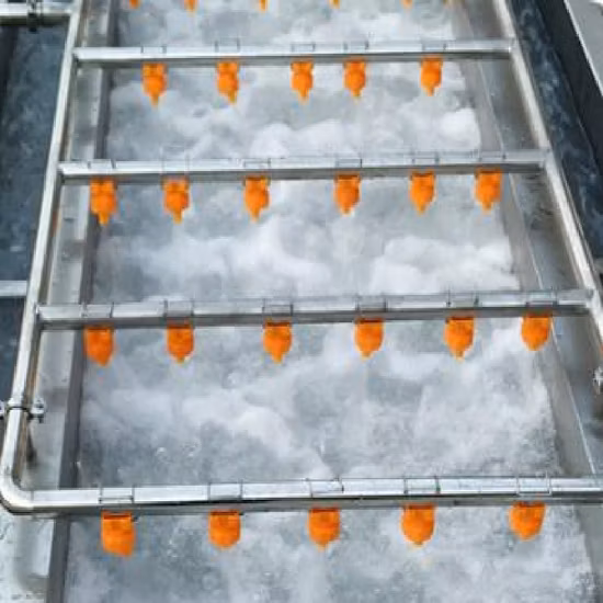 Rotary Ozone Water Bubble Tomato Chili Washing Automatic Fruit Leafy Vegetable Washing Machine Ultrasonic