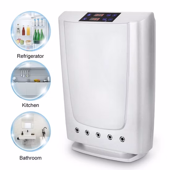 Wall Mounted Ozone & Plasma Air Purifier (SY-G009C-III)